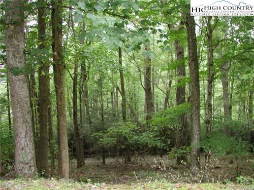 27 Lost Ridge Trl, Vilas, NC, 28692 | Card Image