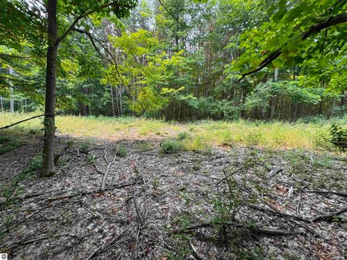 Lot #2 E Bellinger Road, Cedar, MI, 49621 | Card Image