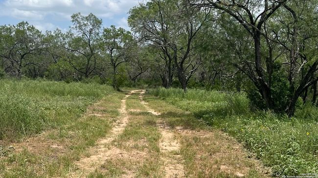 946 County Road 2863, Home with 0 bedrooms, 0 bathrooms and null parking in Bigfoot TX | Image 16