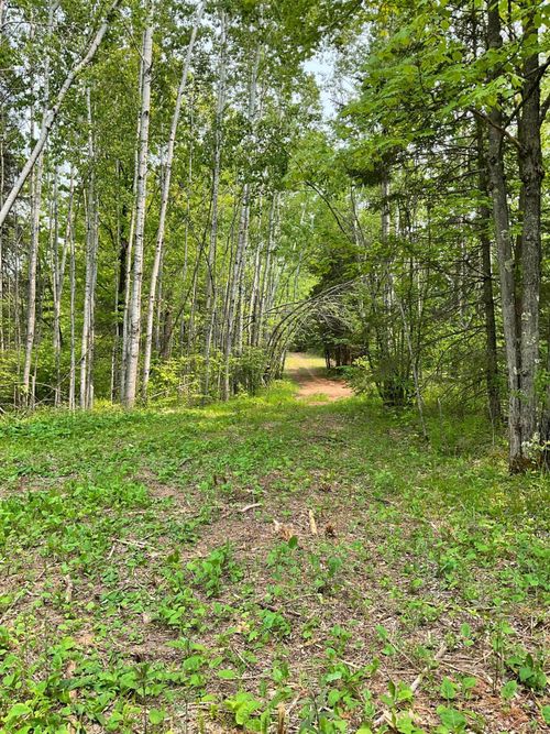 XXX Zinter Rd, Holyoke, MN, 55749 | Card Image