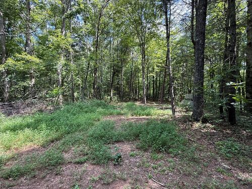 Lot 17 Larue Ln, Ellijay, GA, 30540-2804 | Card Image