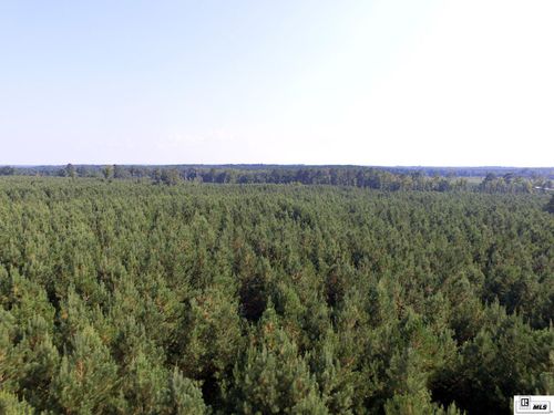 0 Ervin Rd, Spearsville, LA, 71277 | Card Image