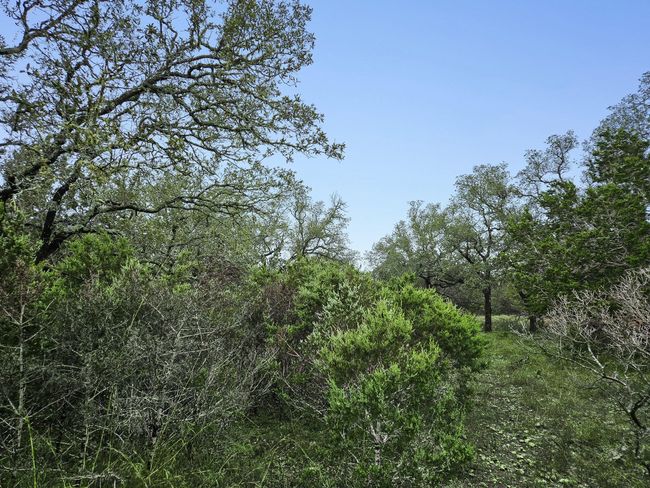 157 Verbena Cir, Home with 0 bedrooms, 0 bathrooms and null parking in Spring Branch TX | Image 19