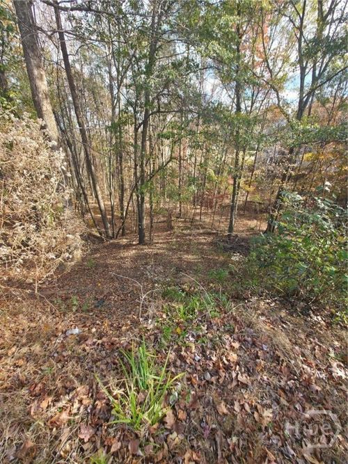 2412 Snowshoe Bend, Bethlehem, GA, 30620 | Card Image