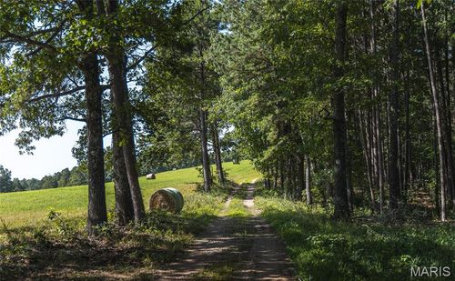 Tract 4 Private Drive 2336, Norwood, MO, 65717 | Card Image