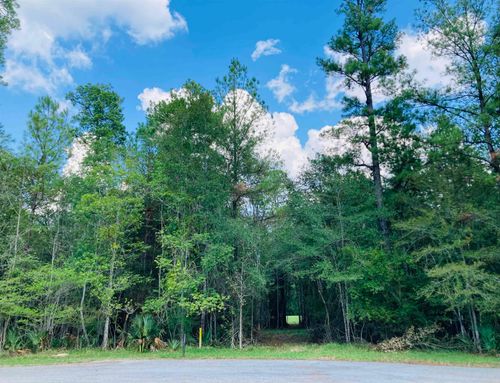 Lot 13 Lakeview Drive, Sour Lake, TX, 77659 | Card Image