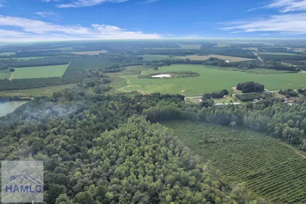 Land in Screven 5