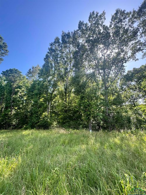 TBD N Fm 2658, Tatum, TX, 75691 | Card Image