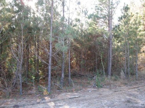 Lot 3 Parkview Dr, Ellisville, MS, 39437-7224 | Card Image