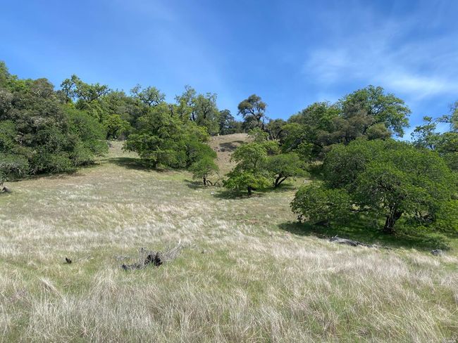 19010 Hulbert Rd, Home with 0 bedrooms, 0 bathrooms and null parking in Yorkville CA | Image 8