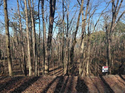 00 Oak Ln, Heber Springs, AR, 72543 | Card Image