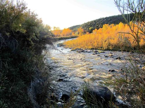 TBD Highway 330, Collbran, CO, 81624 | Card Image