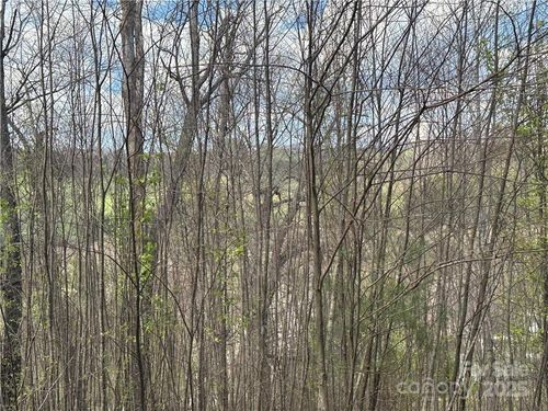 24-TBD E Landing Ridge, Jefferson, NC, 28640 | Card Image