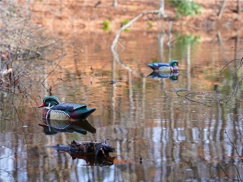 1180 Dick And Willie Rd, Critz, VA, 24082 | Card Image