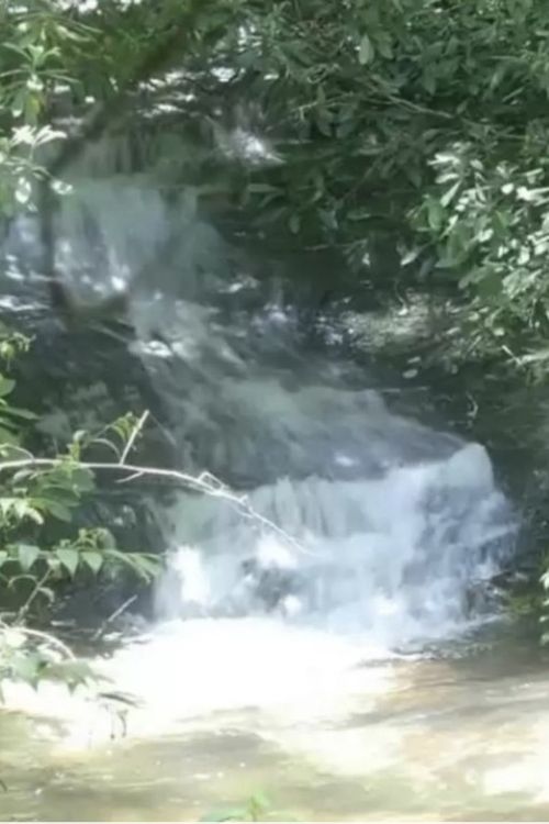 196 Wildberry Ct, Sapphire, NC, 28774 | Card Image