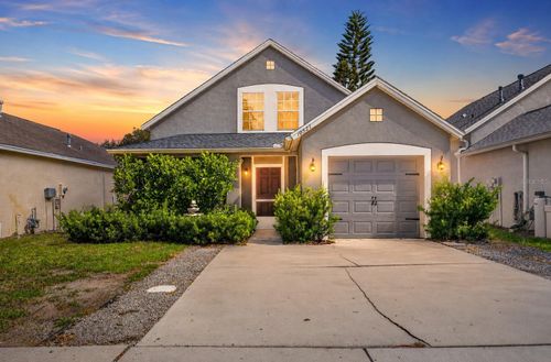 10521 Lakeside Vista Drive, RIVERVIEW, FL, 33569 | Card Image
