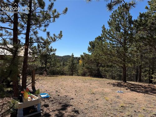36 Miller Creek Rd, Divide, CO, 80814 | Card Image