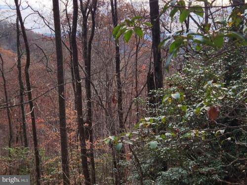 0 Bear Cove Cir, Bryson City, NC, 28713 | Card Image