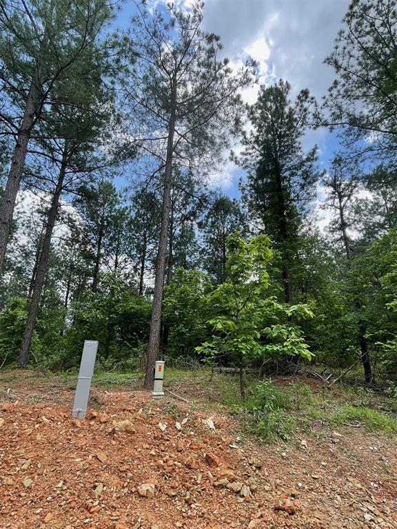 Land in Broken Bow 3