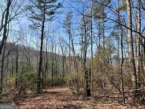 546 Matterhorn Dr, Sautee Nacoochee, GA, 30571 | Card Image