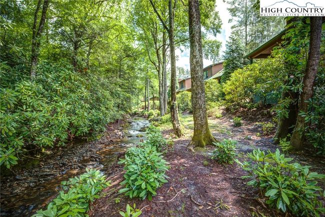 Back yard creek. | Image 9