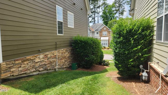 Back Yard | Image 9