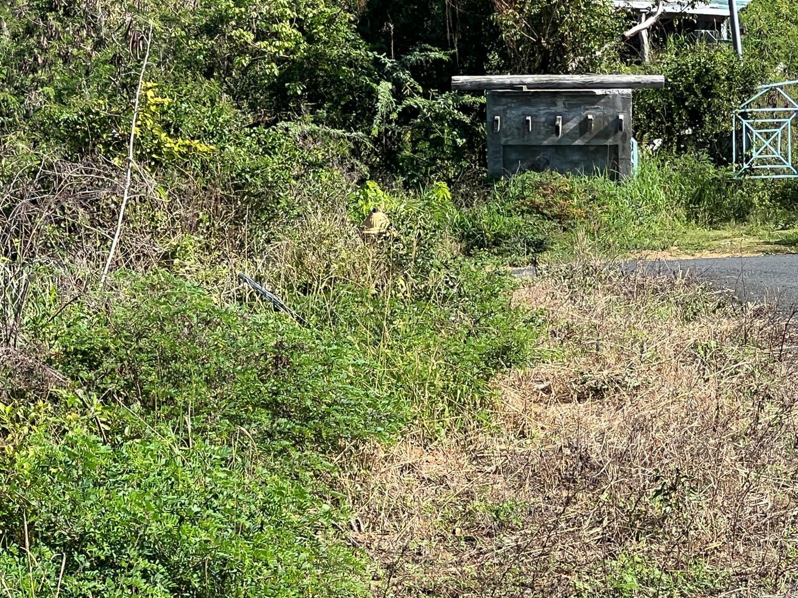 Land en venta en VIEQUES, Address not available