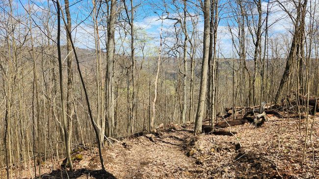 TRACT-1-PIKE-LAKE-GETAWA - 0 Pike Lake Rd, Home with 0 bedrooms, 0 bathrooms and null parking in Bainbridge OH | Image 47