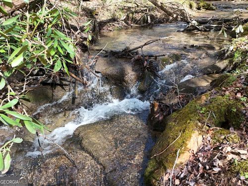 Lot 44B Synacia Dr, Mineral Bluff, GA, 30559 | Card Image
