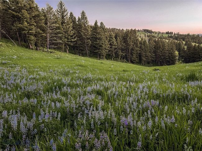 900 Cloud Nine Rd, House other with 3 bedrooms, 3 bathrooms and null parking in Bozeman MT | Image 70