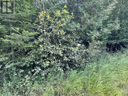 00 Schimmens Rd, Palmer Rapids, ON, K0J2E0 | Card Image