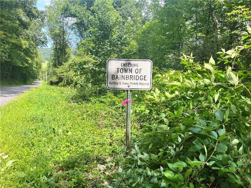 0 Chase Rd, Afton, NY, 13730 | Card Image