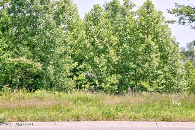 LOT-73 - 0 Hidden Falls Dr, Home with 0 bedrooms, 0 bathrooms and null parking in Mount Washington KY | Image 7