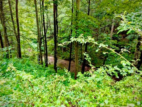29 Paradise Dr, Campton, KY, 41301 | Card Image