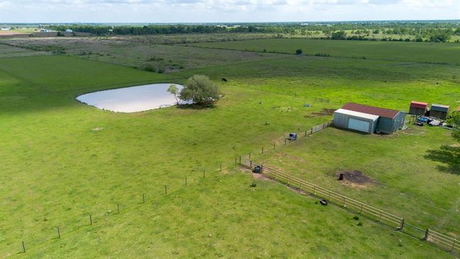 Pond | Image 44