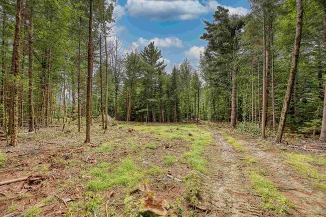 42 - 00 Ridge Rd, Home with 0 bedrooms, 0 bathrooms and null parking in Bethlehem NH | Image 4