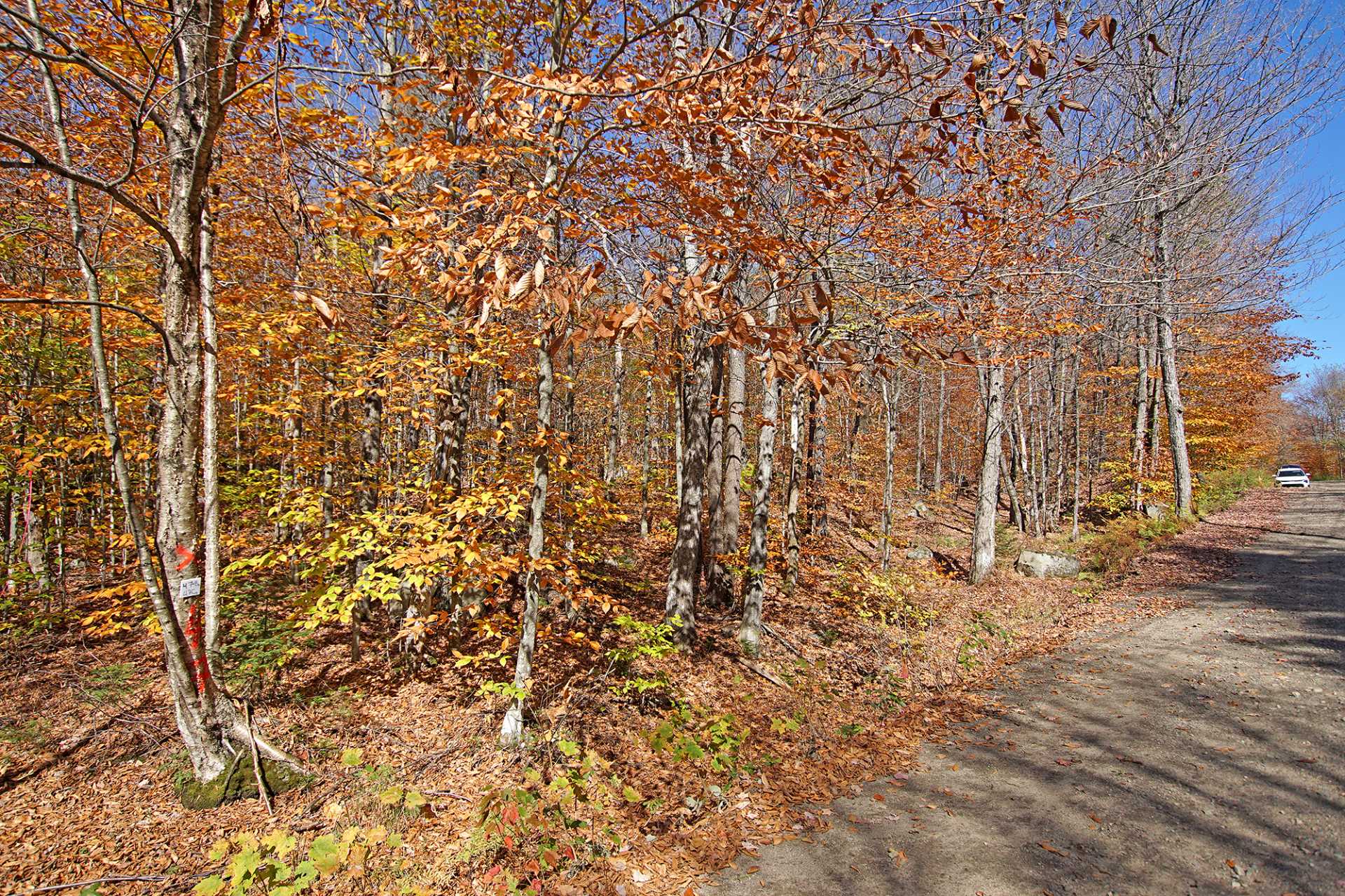 Land in Wentworth 2