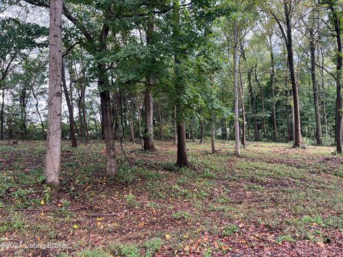 Lot 19 Dogwood Estates, Bedford, KY, 40006 | Card Image