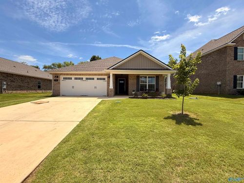 135 Ivy Vine Dr, Toney, AL, 35773-4502 | Card Image