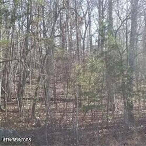 26 Harley Cir, Crossville, TN, 38558-2658 | Card Image