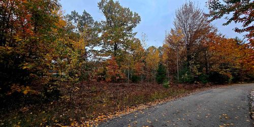 1915 Twin Birch Rd Ne, Kalkaska, MI, 49646 | Card Image