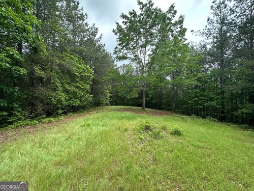 6.5-/+ Larmon Forks, Dahlonega, GA, 30533 | Card Image