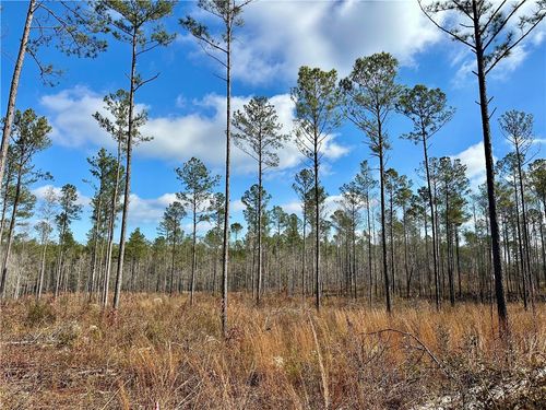 0 Lee Dr, Salem, AL, 36874 | Card Image