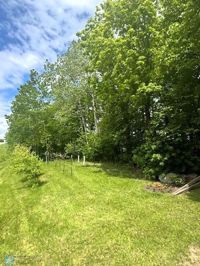 Fruit Trees planted to front of house | Image 59