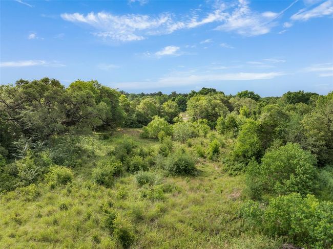 1338 N State Highway 237, Home with 0 bedrooms, 0 bathrooms and null parking in Round Top TX | Image 5