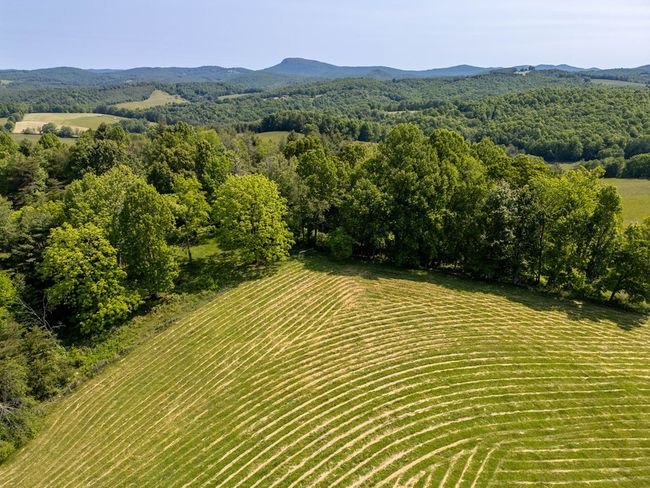688 Gibson Knob Rd, Home with 0 bedrooms, 0 bathrooms and null parking in Laurel Fork VA | Image 36