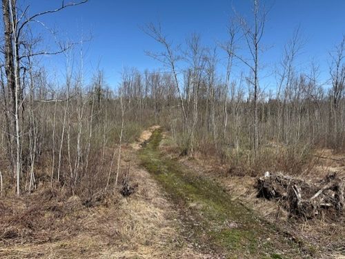 4819N Horse Creek Trail, OJIBWA, WI, 54862 | Card Image