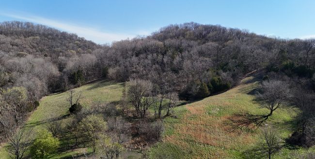 0 Browning Branch Rd, Home with 0 bedrooms, 0 bathrooms and null parking in Bethpage TN | Image 12