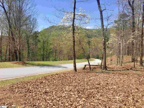 110 Black Knight Trl, Travelers Rest, SC, 29690-7107 | Card Image