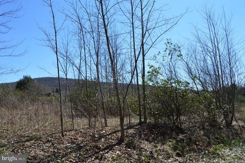 Lots 1 and 2 Grosbeak Drive, Terra Alta, WV, 26764 | Card Image